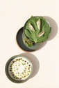 Bord diep 20.0cm Contre-Jour olive green Revol sfeer 3
