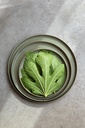 Bord walled 30.0cm Contre-Jour olive green Revol sfeer 1