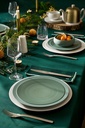 Bord gourmet 26.0cm Bahia green clay Guy Degrenne sfeer 1