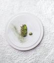 Bord plat 23.0cm Bahia moonstone Guy Degrenne sfeer 3