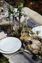 Bord plat coupe 14.0cm Supernature white Guy Degrenne sfeer 1
