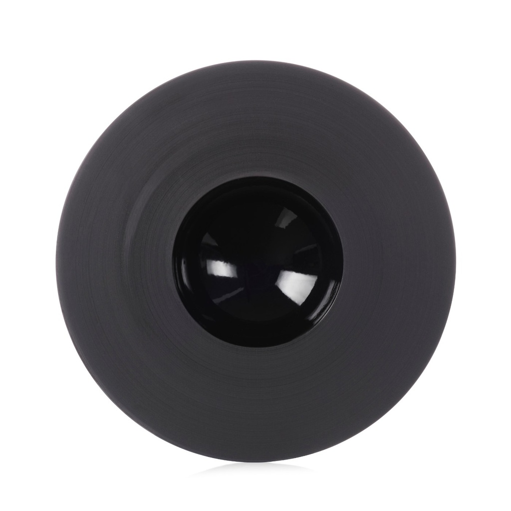 Bord gourmet 30.3cm Sphère black ink Revol