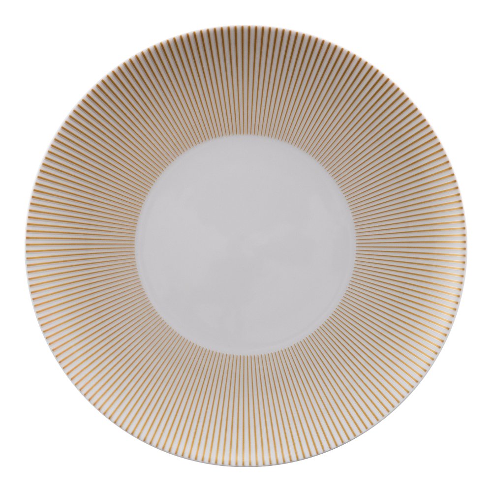 Bord plat 20.0cm Eclats Guy Degrenne