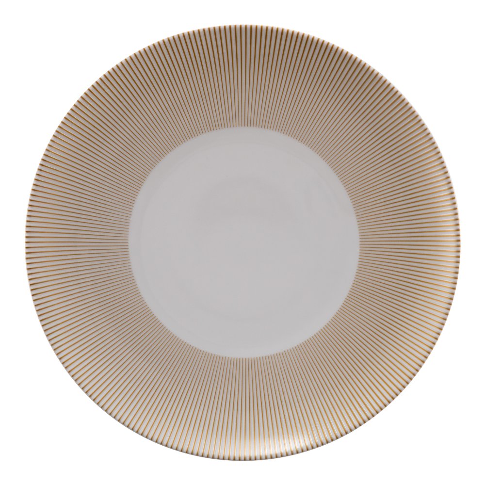 Bord plat 26.0cm Eclats Guy Degrenne