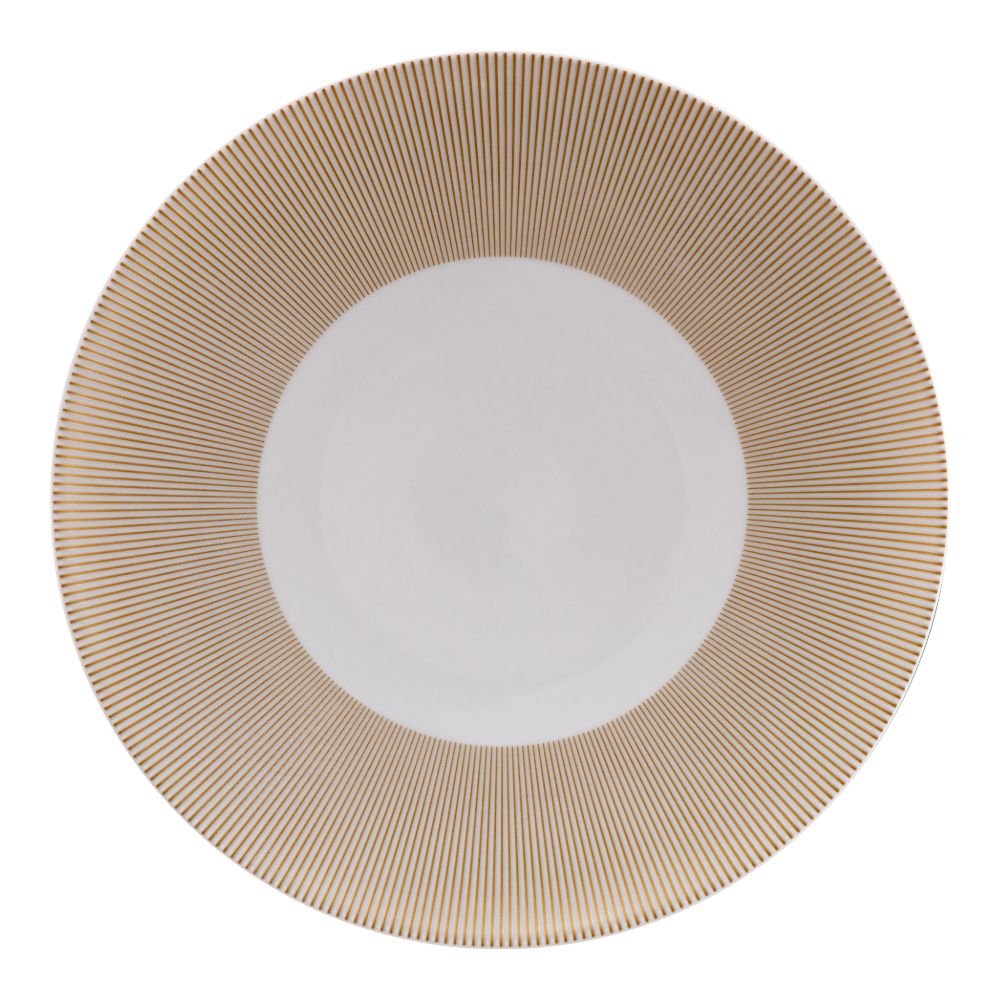Bord plat 29.0cm Eclats Guy Degrenne