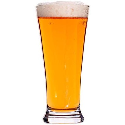 Bierglas 28.1cl Titan 