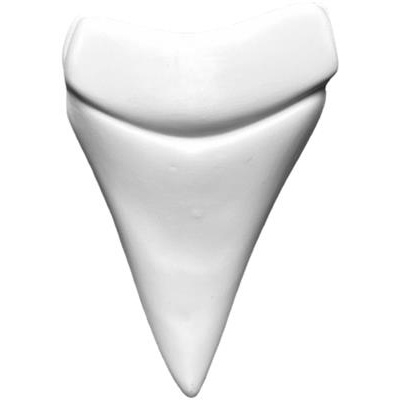 Bord org 14.0x10.0cm OceanCook shark tooth top