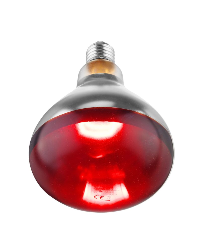 Warmhoudlamp rood 250w