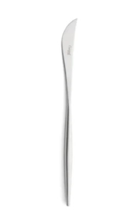 Kaasmes 22.2 cm Moon RVS Matt Cutipol 33