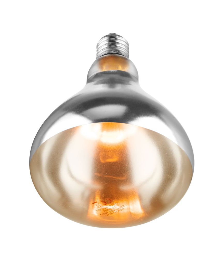 Infrarood warmtelamp 250W wit Hendi