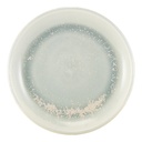Bord plat coupe 19.0cm Terra Pearl Genware