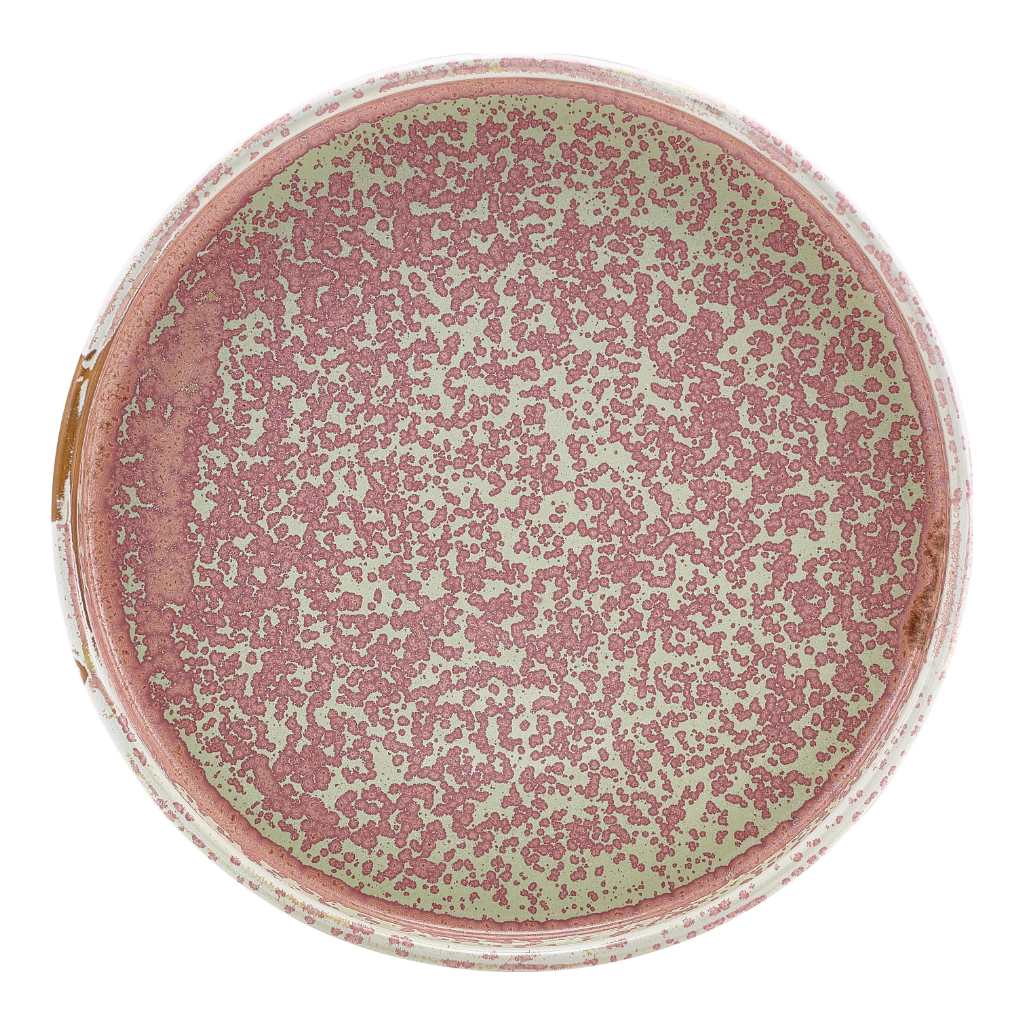 Bord walled low 18.0cm Terra Rose Pink Genware