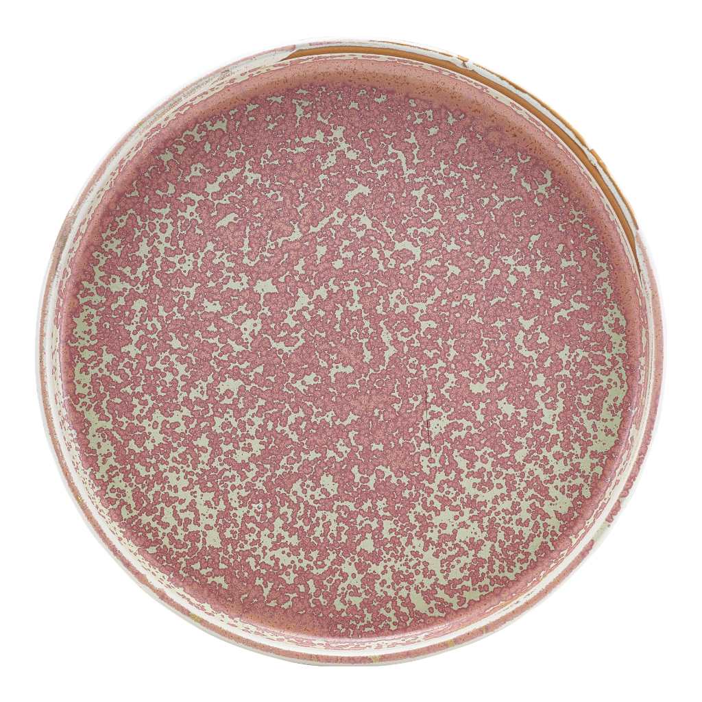 Bord walled 21.0cm Terra Rose Pink Genware