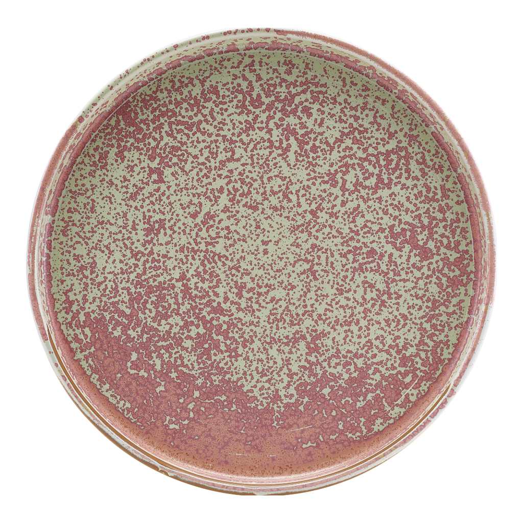 Bord walled 25.0cm Terra Rose Pink Genware
