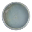 Bord walled 18.0cm Terra Seafoam Genware