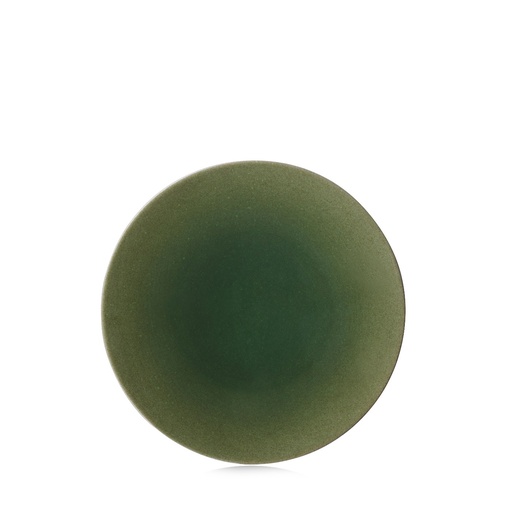 [515319] Bord plat 21.5cm No.W 2 green Revol