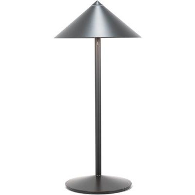 [58534] Tafellamp Led 55.0cm Pina L titanium