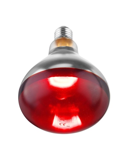[0054] Warmhoudlamp rood 250w