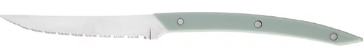 [505892] Steakmes 24.1cm Calvi ABS groen
