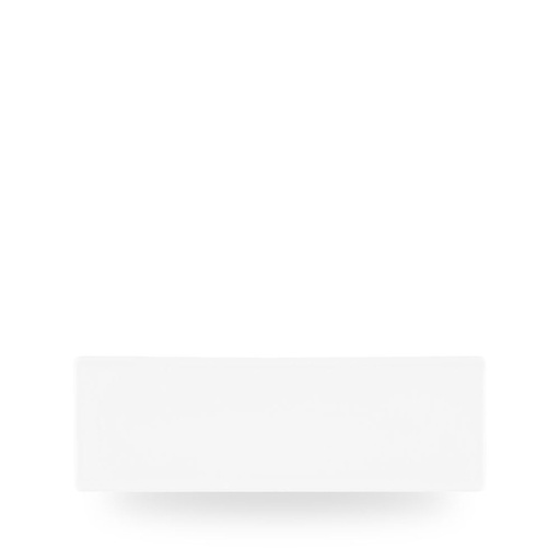 [509869] Schaal rechthoek 29.5cm x 8.8cm Chefs plates white Churchill