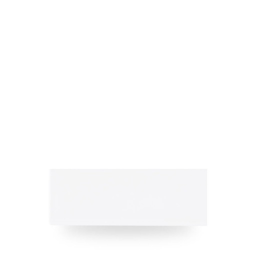 [509870] Schaal rechthoek 24.7cm x 8.8cm Chefs plates white Churchill