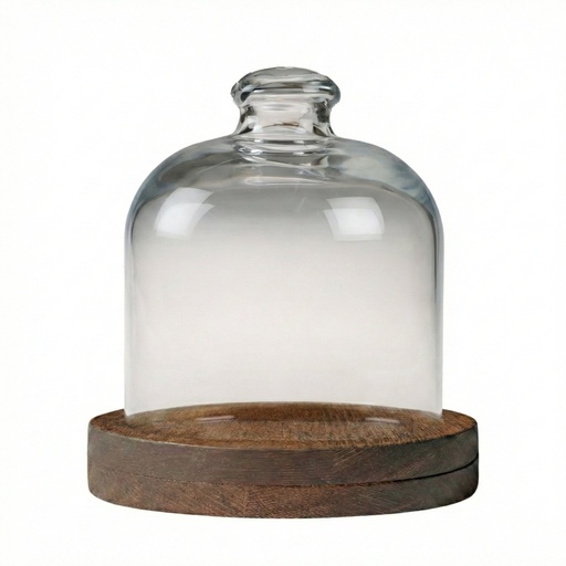 [510688] Houten plank met 1 stolp 10.0x10.0cm Room Amenities Beech Dark Joy Buffet